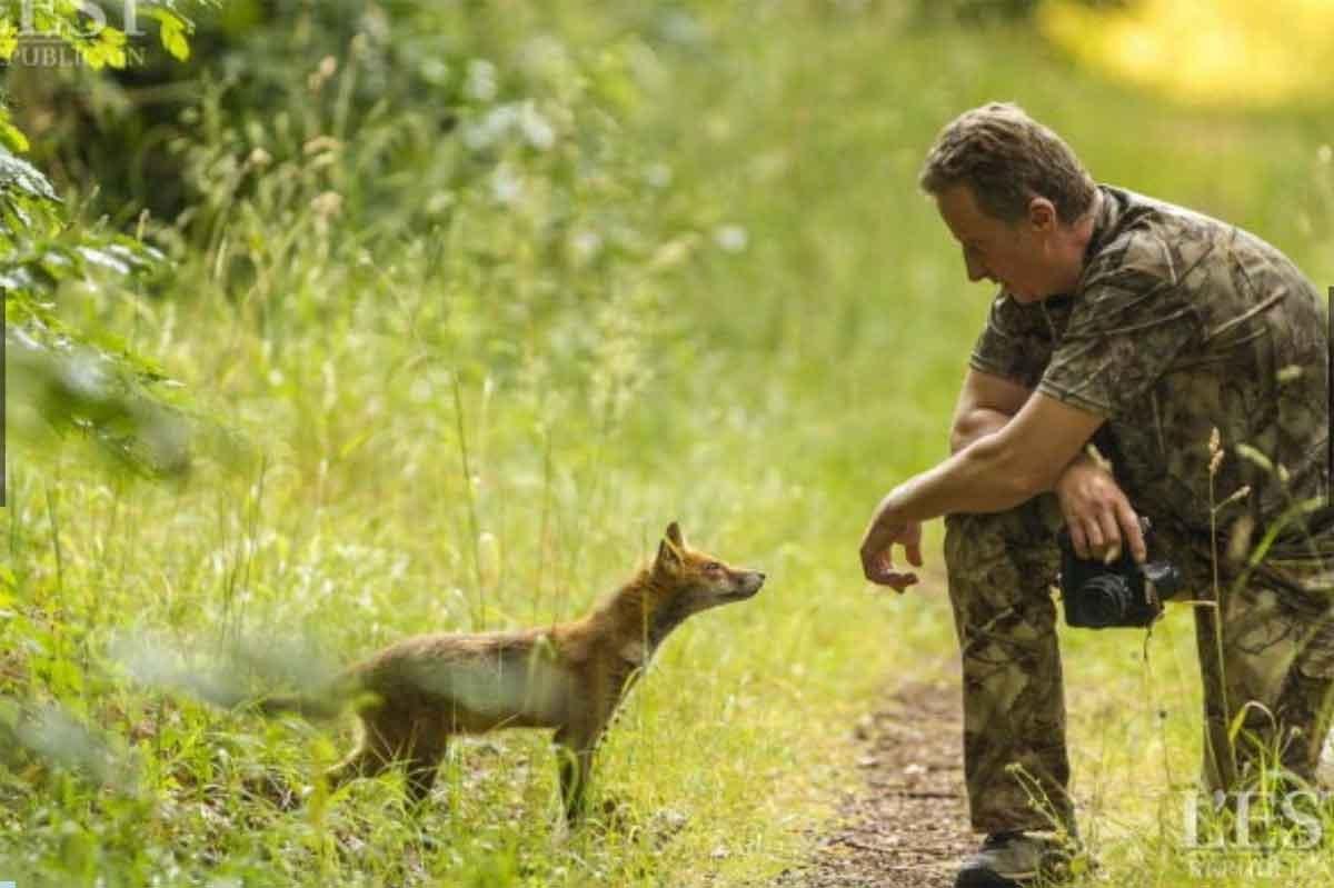 A Linda Hist Ria De Amizade Entre Um Homem E Uma Raposa Selvagem Greenme