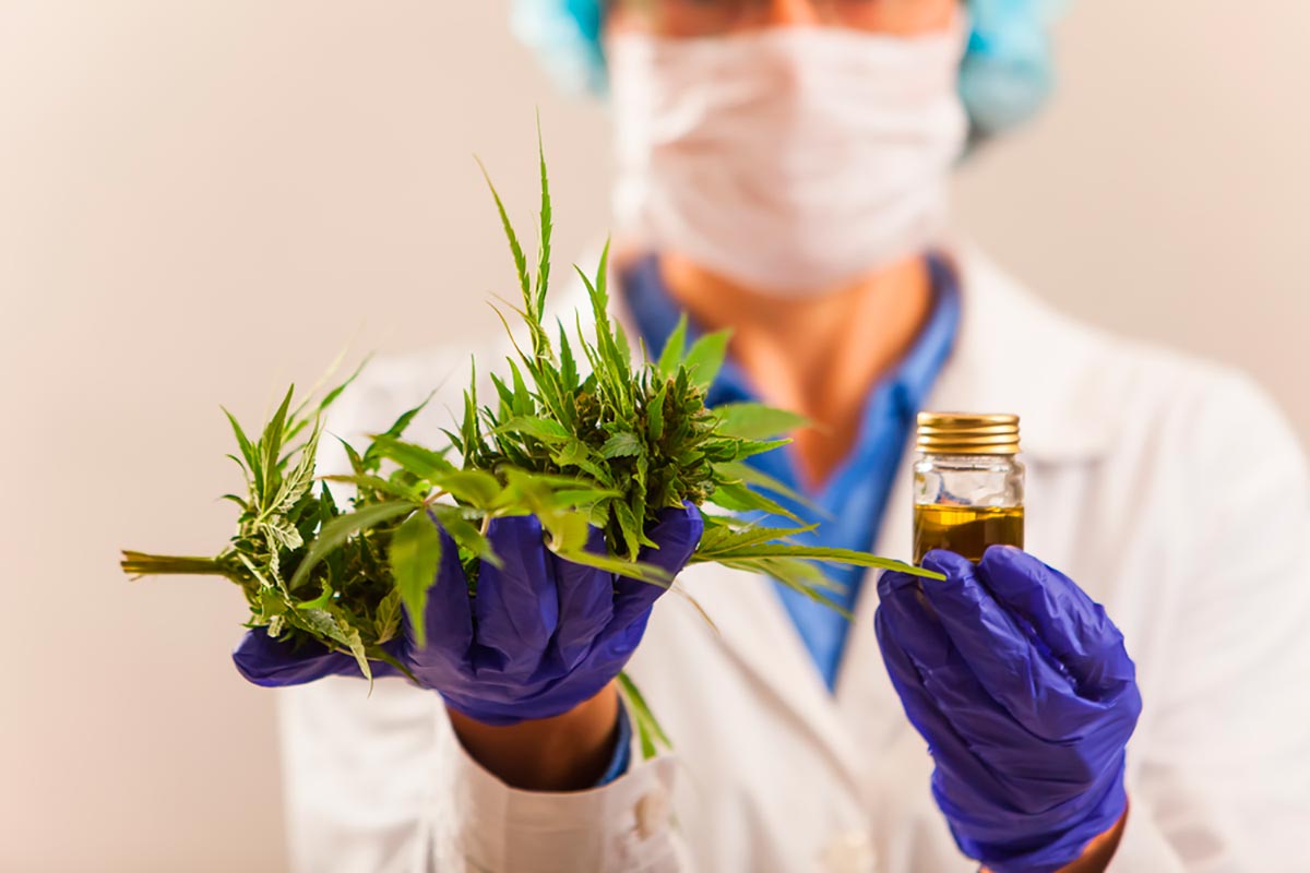 Projeto De Lei Libera O Uso De Cannabis Medicinal No Mato Grosso Greenme