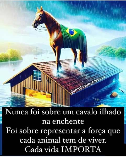 cavalo símbolo das enchentes no Rio Grande do Sul representa a força animal