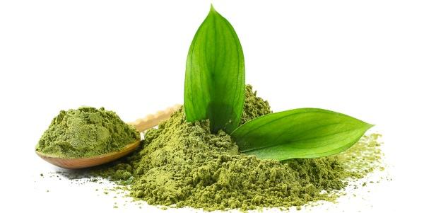 Cha Matcha Beneficios Usos Como Preparar E Consumir Greenme