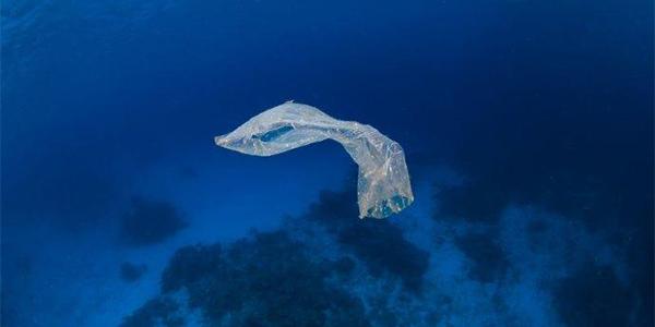 Fossa das Marianas: o ponto mais profundo da Terra - Igeológico